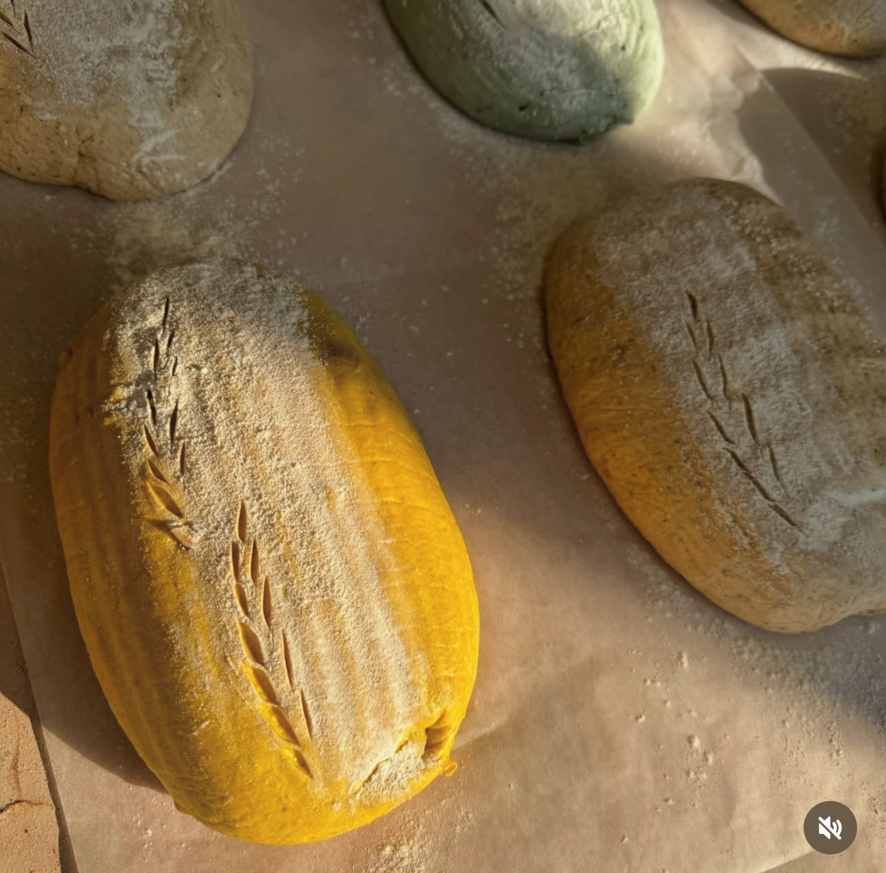Organic Turmeric Seeds