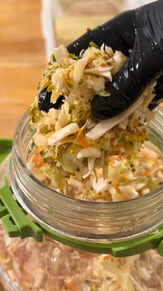 Organic Broccoli Sprout Kraut