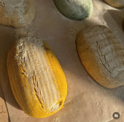 Organic Turmeric Seeds